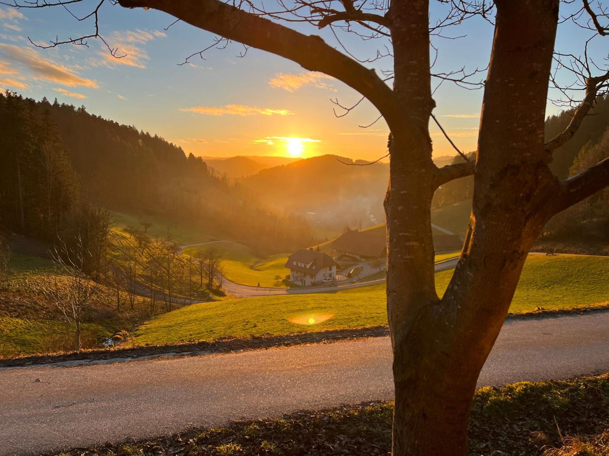 Apartamento Fewo Mit Whirlpool, Sauna & Schwarzwaldblick Hausach Exterior foto