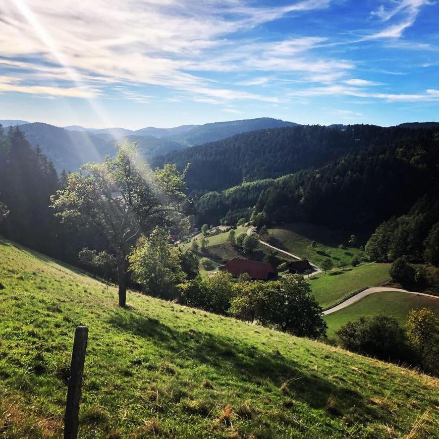 Apartamento Fewo Mit Whirlpool, Sauna & Schwarzwaldblick Hausach Exterior foto