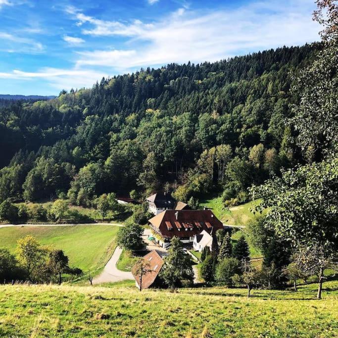 Apartamento Fewo Mit Whirlpool, Sauna & Schwarzwaldblick Hausach Exterior foto