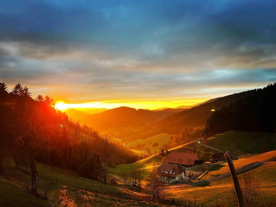 Apartamento Fewo Mit Whirlpool, Sauna & Schwarzwaldblick Hausach Exterior foto