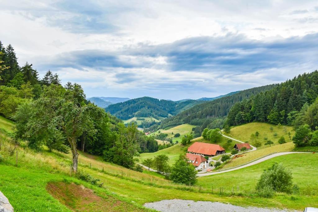 Apartamento Fewo Mit Whirlpool, Sauna & Schwarzwaldblick Hausach Exterior foto